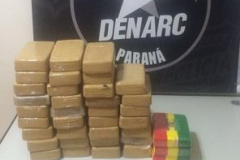 Polícia Civil apreende drogas avaliadas em meio milhão de reais

