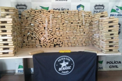 Polícia apreende mais de meia tonelada de maconha em Matelândia

