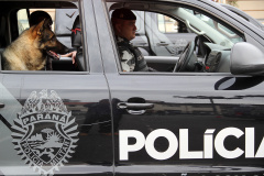 Companhia de Operações com Cães do BOPE apreende 24,7 quilos de crack e cocaína durante ação em Araucária e Curitiba

