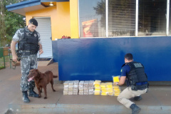 Equipe da PM apreende caminhão com carga ilícita na BR-277 no Oeste do estado

