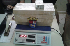 Rapaz é surpreendido pela PM ao desembarcar de ônibus portando maconha no Norte do estado

