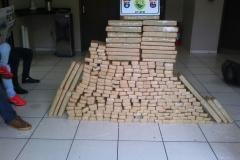 Polícia Militar recebe denúncia e apreende 193 quilos de maconha Umuarama; cinco pessoas são encaminhadas