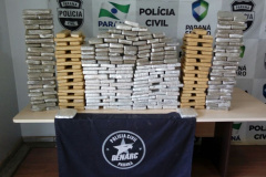 Denarc apreende droga avaliada em R$ 150 mil em Cascavel

