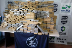 Denarc apreende uma tonelada de maconha avaliada em R$ 1 milhão

