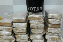 Policiais rodoviários apreendem mais de 23 quilos de maconha durante abordagem a ônibus em Maringá