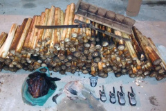 BPMA apreende palmito, ave silvestre e carne de caça durante ação no Litoral