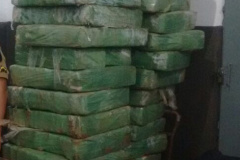 Polícia Militar apreende 854 quilos de maconha durante ação em Foz do Iguaçu