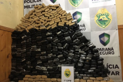PM recebe denúncia e apreende mais de 350 quilos de maconha na Lapa