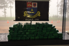 Mulher é presa com 50 quilos de maconha no Noroeste do estado; destino seria São Paulo

