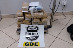 Polícia Civil de Foz do Iguaçu prende homem com drogas que iriam para Brasília