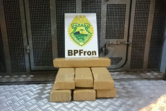 BPFron prende mulher com 12,7 quilos de maconha em ônibus