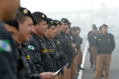Curitiba, 12 de Junho de 2017. Operação Cinturão Verde