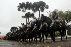 PAUTA DIA 28/06 – 10h – Regimento de Polícia Montada da PMPR comemora seu 138º aniversário

