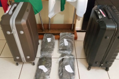 Em Medianeira, policiais militares apreendem 12 quilos de haxixe e conduzem dupla à delegacia