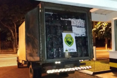BPRv apreende 300 caixas de cigarros contrabandeados dentro de caminhão no Oeste do estado

