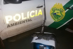 Pai e filho são presos ao serem flagrados com arma e animal silvestre abatido no Noroeste do estado

