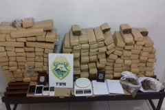 Mais de 115 quilos de maconha são apreendidos pela PM em Jaguariaíva

