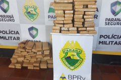 PM apreende mais de 140 quilos de maconha na PR 383, no Noroeste do Estado

