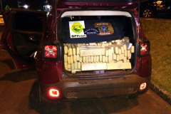 Atuação do BPFron resulta em quase meia tonelada de maconha apreendida em um só dia

