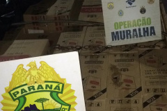 BPFron apreende 700 caixas de cigarros contrabandeados no Oeste do estado

