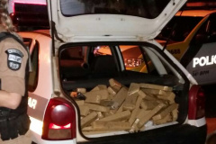 Polícia Militar apreende 188 quilos de maconha em Foz do Iguaçu