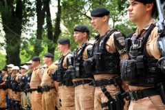 Curitiba, 01 de Dezembro de 2017. Operação Natal