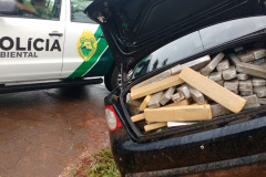 Polícia Ambiental auxilia em abordagem e apreende mais de 590 quilos de maconha no Noroeste do estado