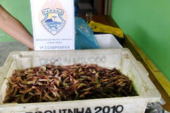 Desde o início do Verão Paraná 2017/2018, a 1ª Companhia de Polícia Ambiental Força Verde (BPAmb-FV), juntamente com o 9º Batalhão de Polícia Militar (9º BPM), está atuando com reforço de equipes em todo o litoral do estado para coibir crimes contra a natureza, principalmente a pesca irregular.Matinhos, 31/12/2017Foto: PMPR