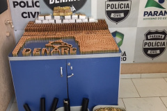 Denarc apreende 12,5 mil munições de diferentes calibres em Matelândia
