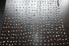 Polícia Militar apreende 330 pedras de crack e recupera veículo durante abordagem em São José dos Pinhais
