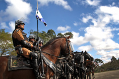 Regimento de Polícia Montada desencadeia operação no município de Pinhais