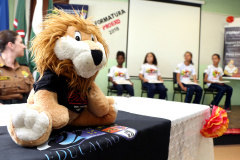 Curitiba, 29 de novembro de 2018, Formatura Proerd