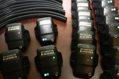 Tornozeleiras eletrônicas - Foto: Arquivo ANPr