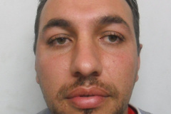 Max Anderson Gregarek