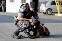 Curitiba, 04 de julho de 2019. RIC Grava no Canil e Entrevista Sd. Chuede.