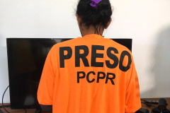 A Polícia Civil do Paraná (PCPR) prendeu em Quatro Barras, Região Metropolitana de Curitiba, uma mulher de 36 anos, suspeita pela autoria do incêndio que vitimou o próprio marido, de 46 anos. O crime aconteceu no dia 25 de maio de 2019, no bairro São Pedro, também em Quatro Barras.
