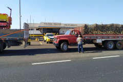 Operação da Receita Estadual fiscaliza transporte de mercadorias