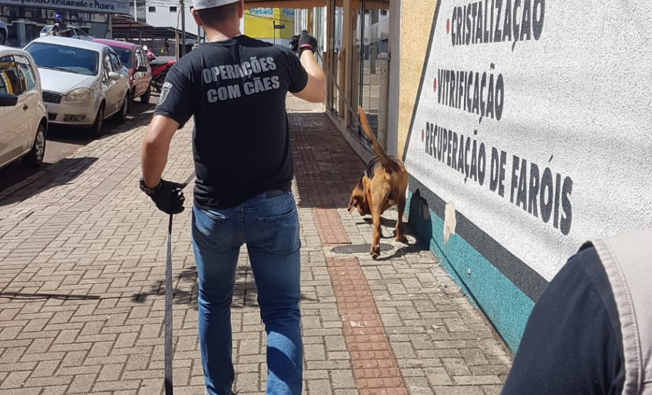 PCPR realiza seminário internacional com cães de busca em Pato Branco