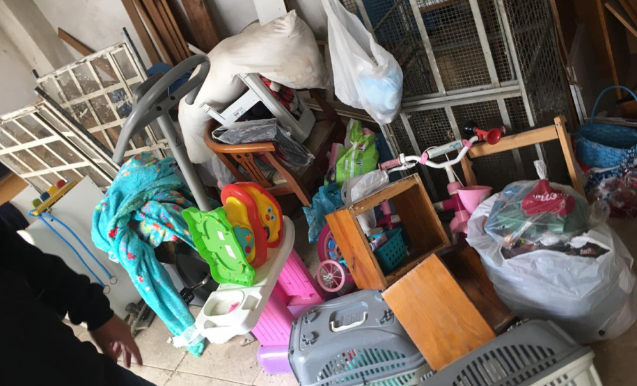 PCPR autua médica veterinária suspeita de maus-tratos a animais em Curitiba