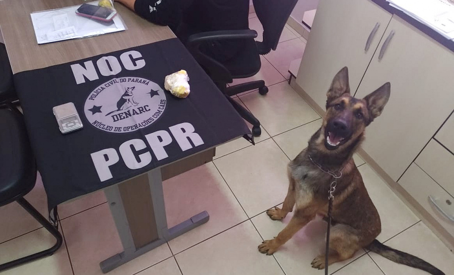 PCPR e PMPR deflagram operação contra o tráfico drogas no Sudoeste do Estado