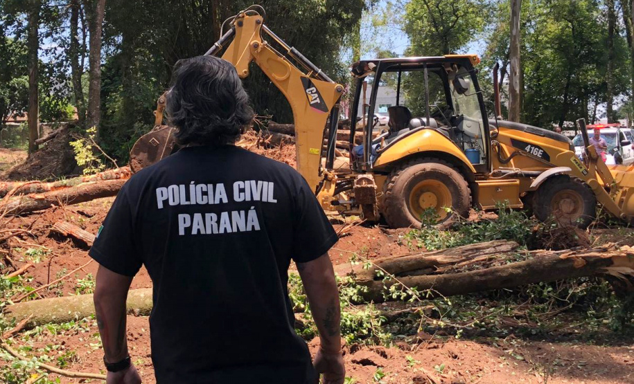 PCPR prende homem por corte ilegal de árvores em Curitiba