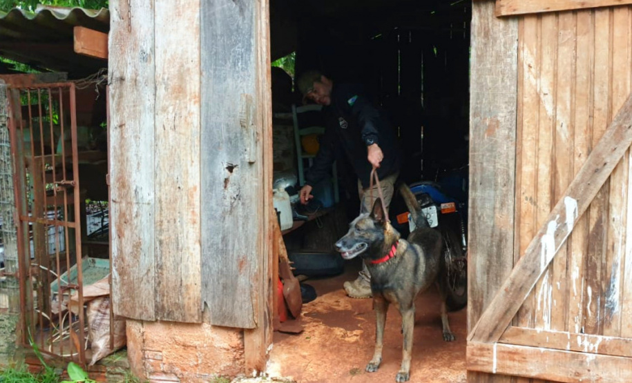 PCPR deflagra operação para cumprir 28 mandados judiciais no Oeste do Estado