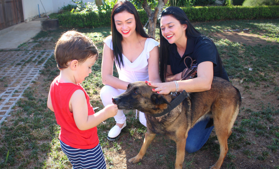 Cadela policial da PCPR se aposenta e ganha novo lar