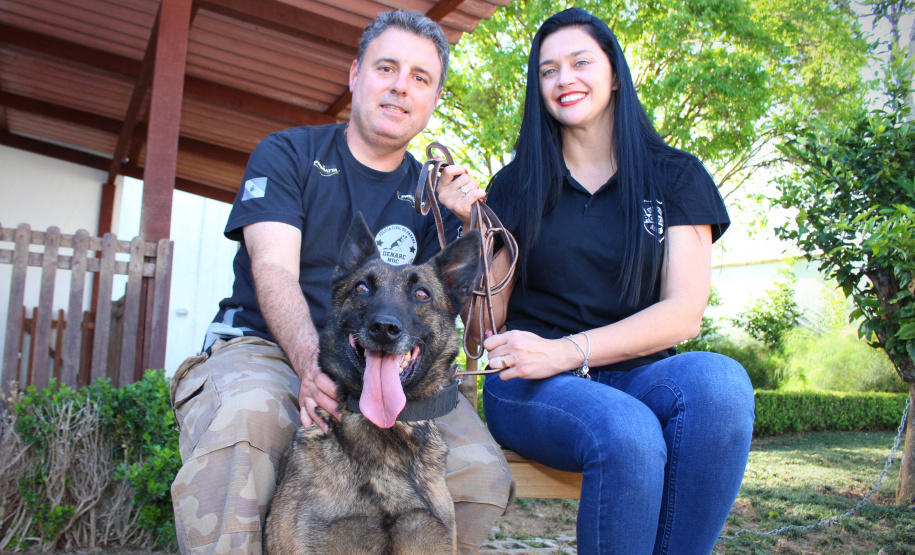 Cadela policial da PCPR se aposenta e ganha novo lar