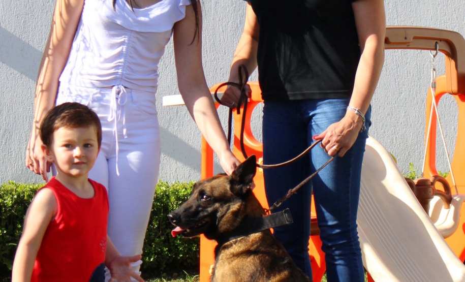 Cadela policial da PCPR se aposenta e ganha novo lar