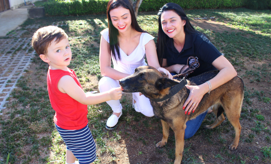 Cadela policial da PCPR se aposenta e ganha novo lar