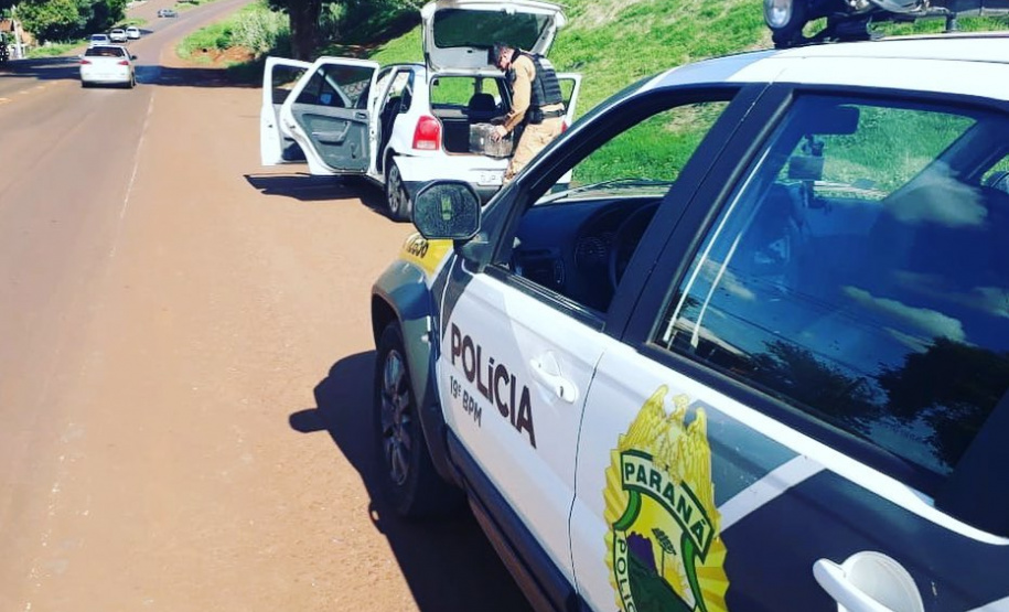Durante abordagem, PM apreende mais de 25 quilos de maconha em Toledo (PR)