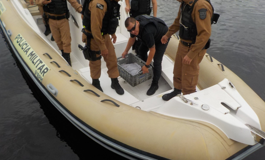 Equipe da PM resgata tartaruga marinha ameaçada de extinção em Paranaguá (PR)