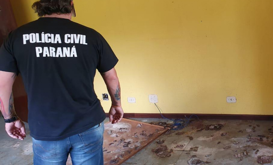 PCPR fecha canil clandestino e resgata cinco cães em Curitiba