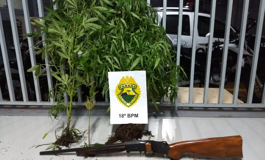 No Norte do estado, PM aborda homem e acaba apreendendo pés de maconha e espingarda